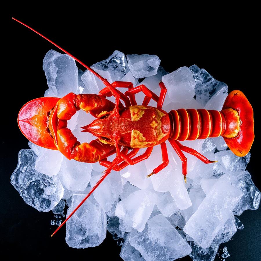 Fruits de mer assortis